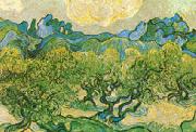 Vincent Van Gogh Olive Trees with the Alpilles in the Background Germany oil painting artist